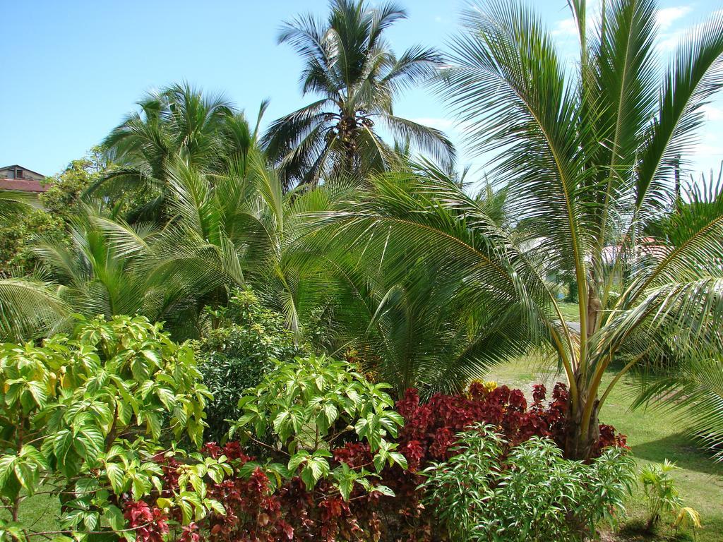 Babilonia Aparthotel Cahuita Ruang foto