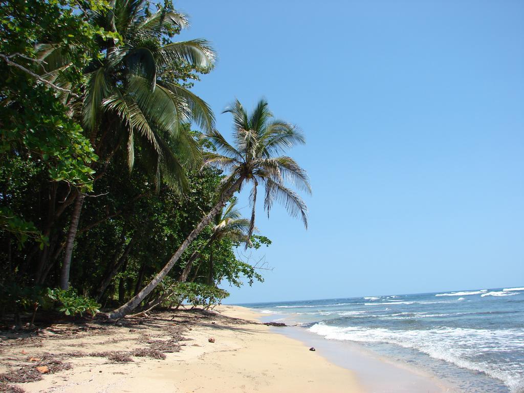 Babilonia Aparthotel Cahuita Bagian luar foto