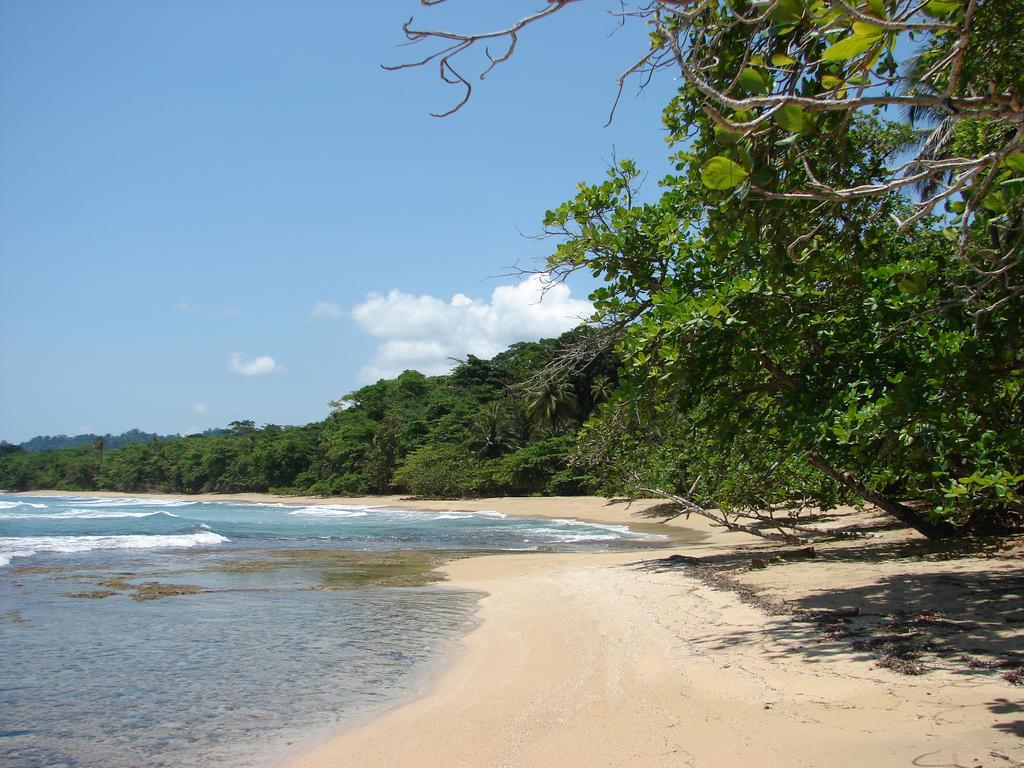 Babilonia Aparthotel Cahuita Bagian luar foto