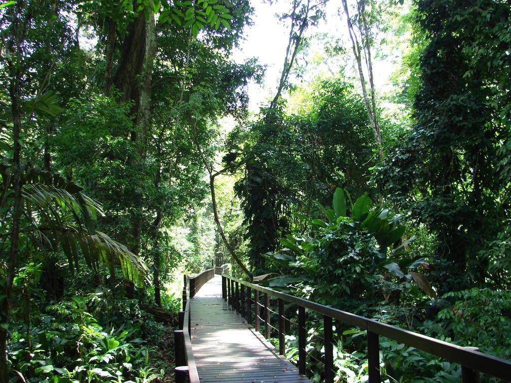 Babilonia Aparthotel Cahuita Bagian luar foto