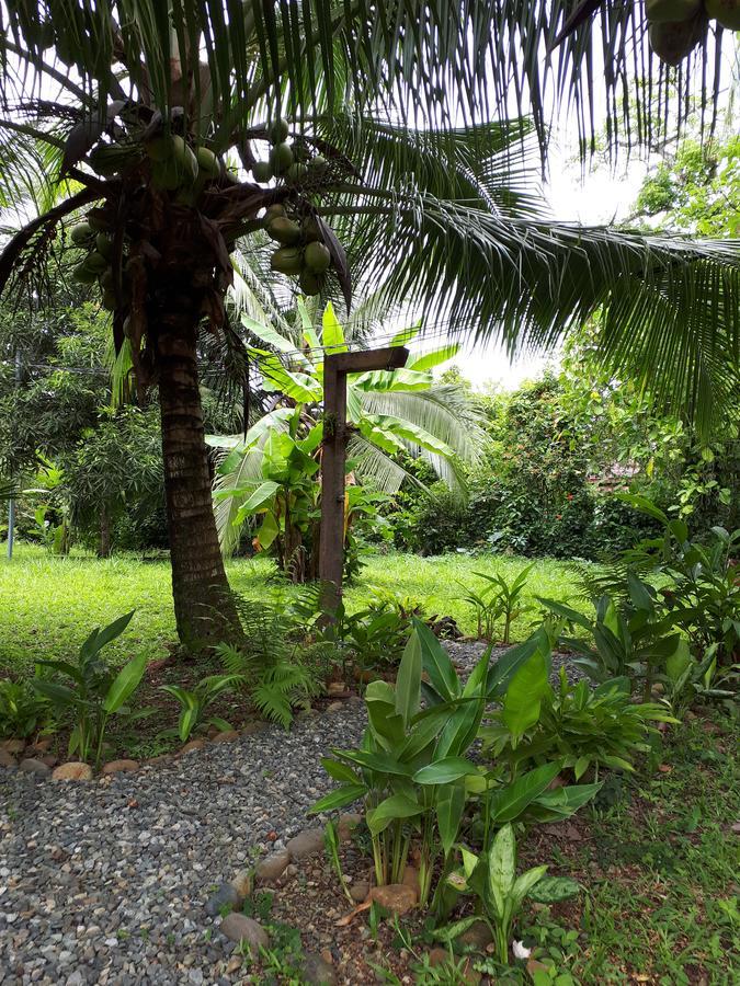 Babilonia Aparthotel Cahuita Bagian luar foto