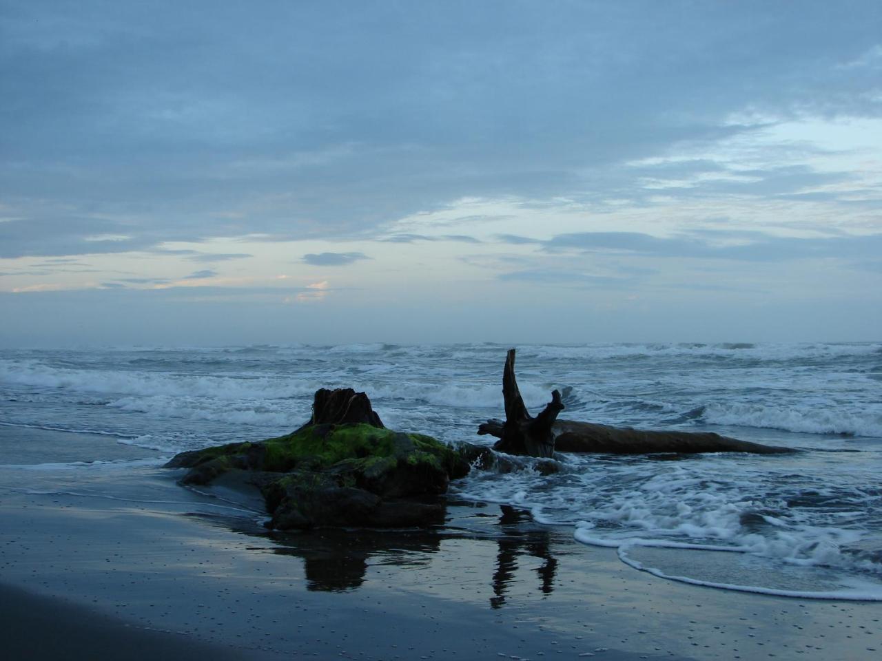 Babilonia Aparthotel Cahuita Bagian luar foto
