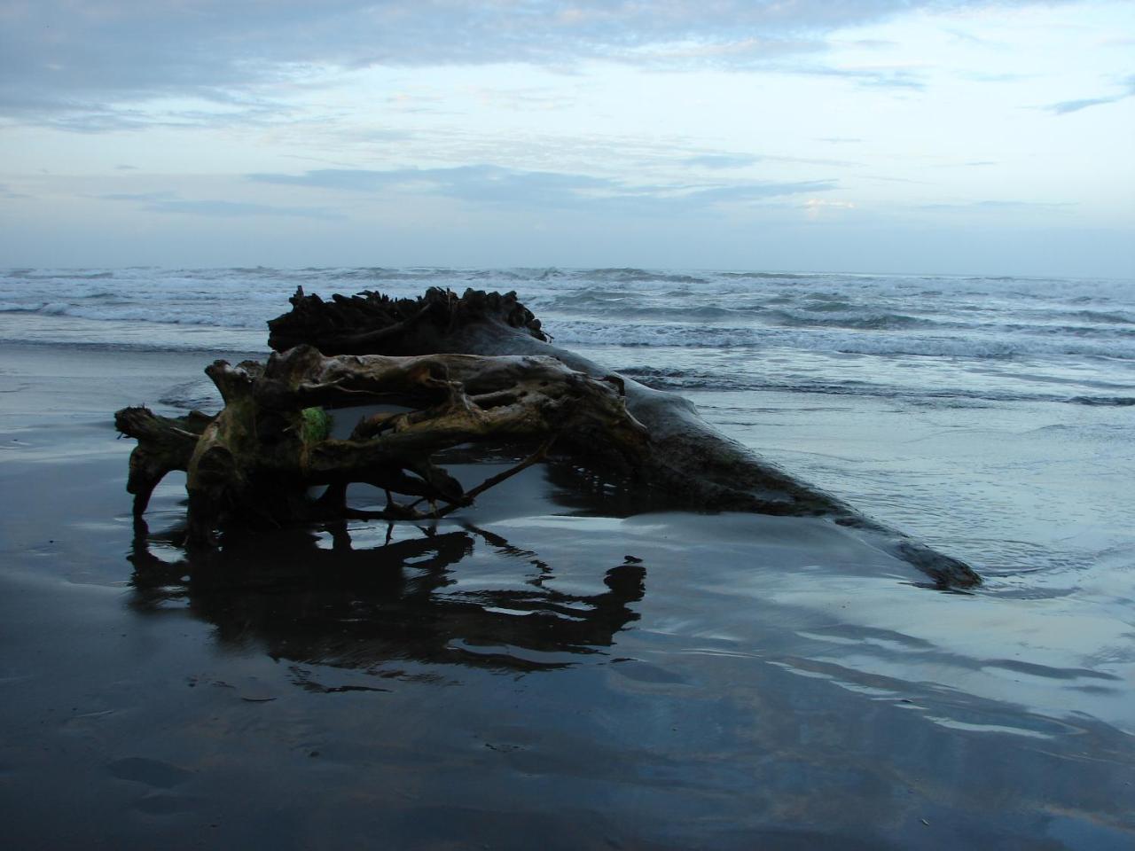 Babilonia Aparthotel Cahuita Bagian luar foto